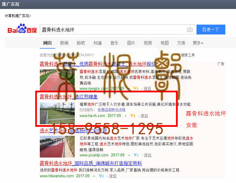 苏州竞价网站托管优化推广公司，菜根谭网络科技有限公司查询瑞皇关键词排名9月4日推广实况案例（3）