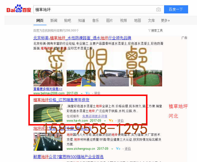 苏州竞价网站托管优化推广公司，菜根谭网络科技有限公司查询瑞皇关键词排名9月11日推广实况案例（5）