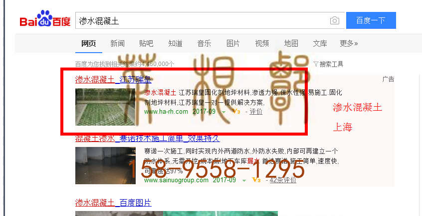 苏州竞价网站托管优化推广公司，菜根谭网络科技有限公司查询瑞皇关键词排名9月18日推广实况案例（1）