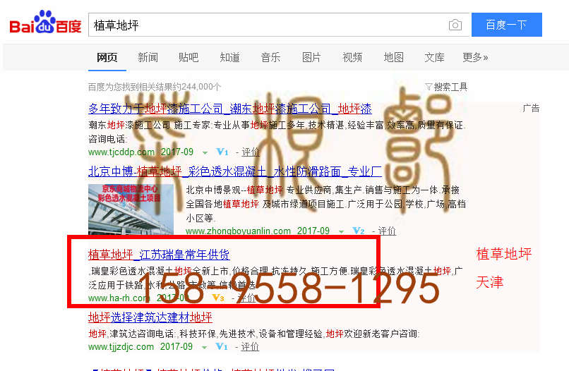 苏州竞价网站托管优化推广公司，菜根谭网络科技有限公司查询瑞皇关键词排名9月18日推广实况案例（2）
