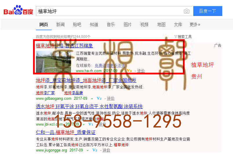 苏州竞价网站托管优化推广公司，菜根谭网络科技有限公司查询瑞皇关键词排名9月18日推广实况案例（2）