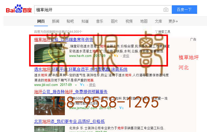 苏州竞价网站托管优化推广公司，菜根谭网络科技有限公司查询瑞皇关键词排名9月18日推广实况案例（2）