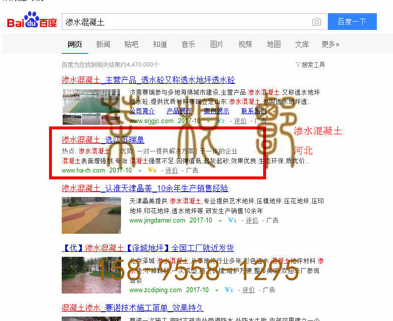 苏州竞价网站托管优化推广公司，菜根谭网络科技有限公司查询瑞皇关键词排名10月16日推广实况案例（1）