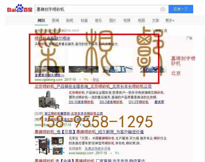 苏州网站托管优化推广公司，菜根谭网络科技有限公司查询斯特尔关键词排名10月19日推广实况案例（2）
