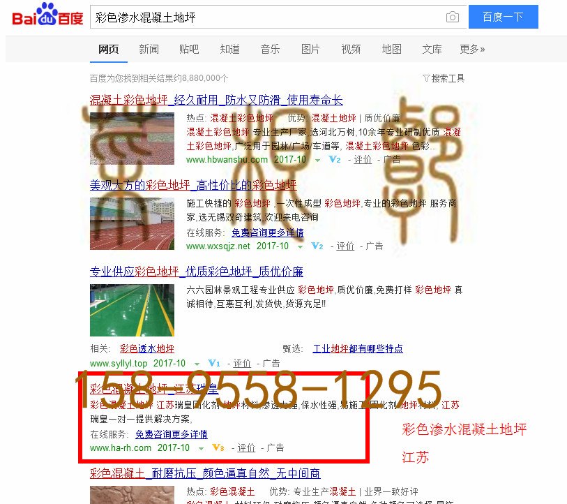 苏州网站托管优化推广公司，菜根谭网络科技有限公司查询瑞皇关键词排名10月20日推广实况案例（2）